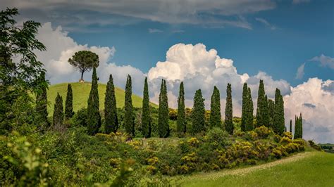  Beneath a Sicilian Sun - A tale of forbidden love blooming amidst ancient traditions and vibrant landscapes!