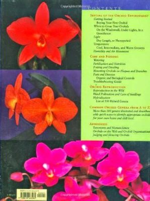  Understanding Orchids: An Accessible Guide to Growing and Enjoying these Exotic Beauties!